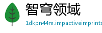 智穹领域